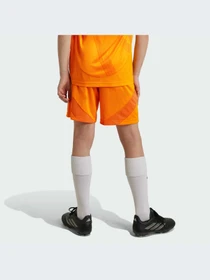 Шорты Adidas модель IT5198-KZ Фото