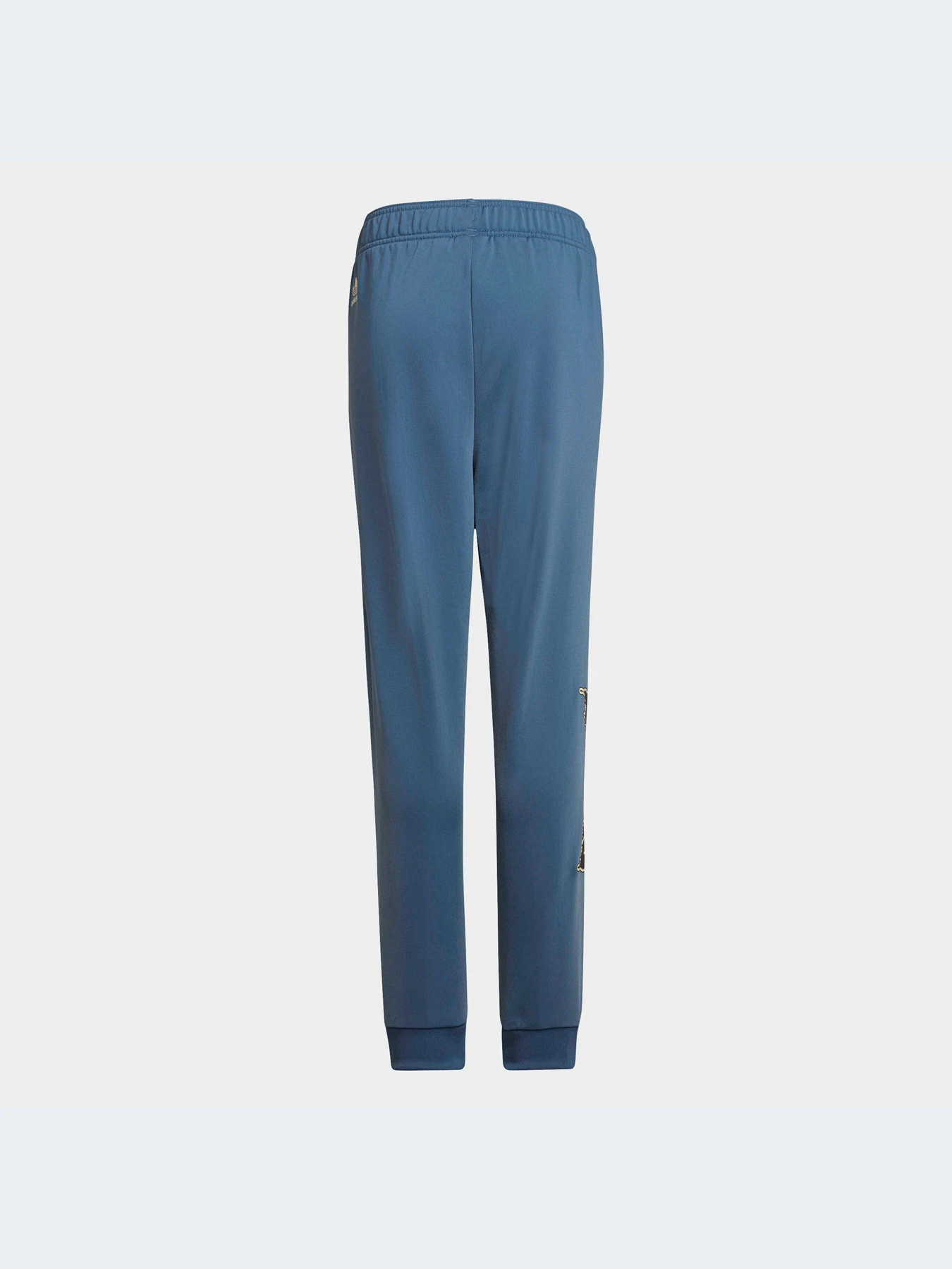 Брюки Adidas модель HK2831-KZ Брюки Adidas модель HK2831-KZ Фото