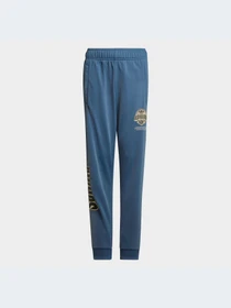 Брюки Adidas модель HK2831-KZ Фото