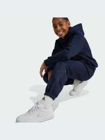 Брюки Adidas модель IW0925-KZ Фото