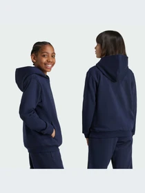Худи и свитшоты Adidas модель IW0923-KZ Фото