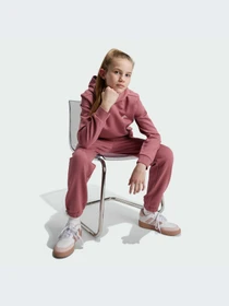 Худи и свитшоты Adidas модель IX9509-KZ Фото
