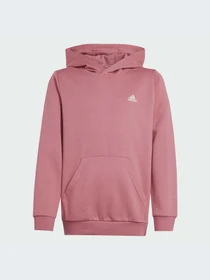 Худи и свитшоты Adidas модель IX9509-KZ Фото