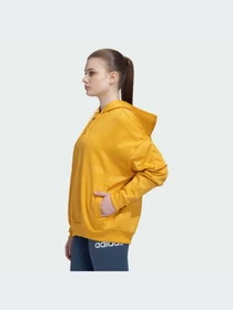 Худи и свитшоты Adidas модель IJ9626-KZ Фото
