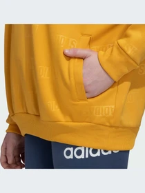 Худи и свитшоты Adidas модель IJ9626-KZ Фото