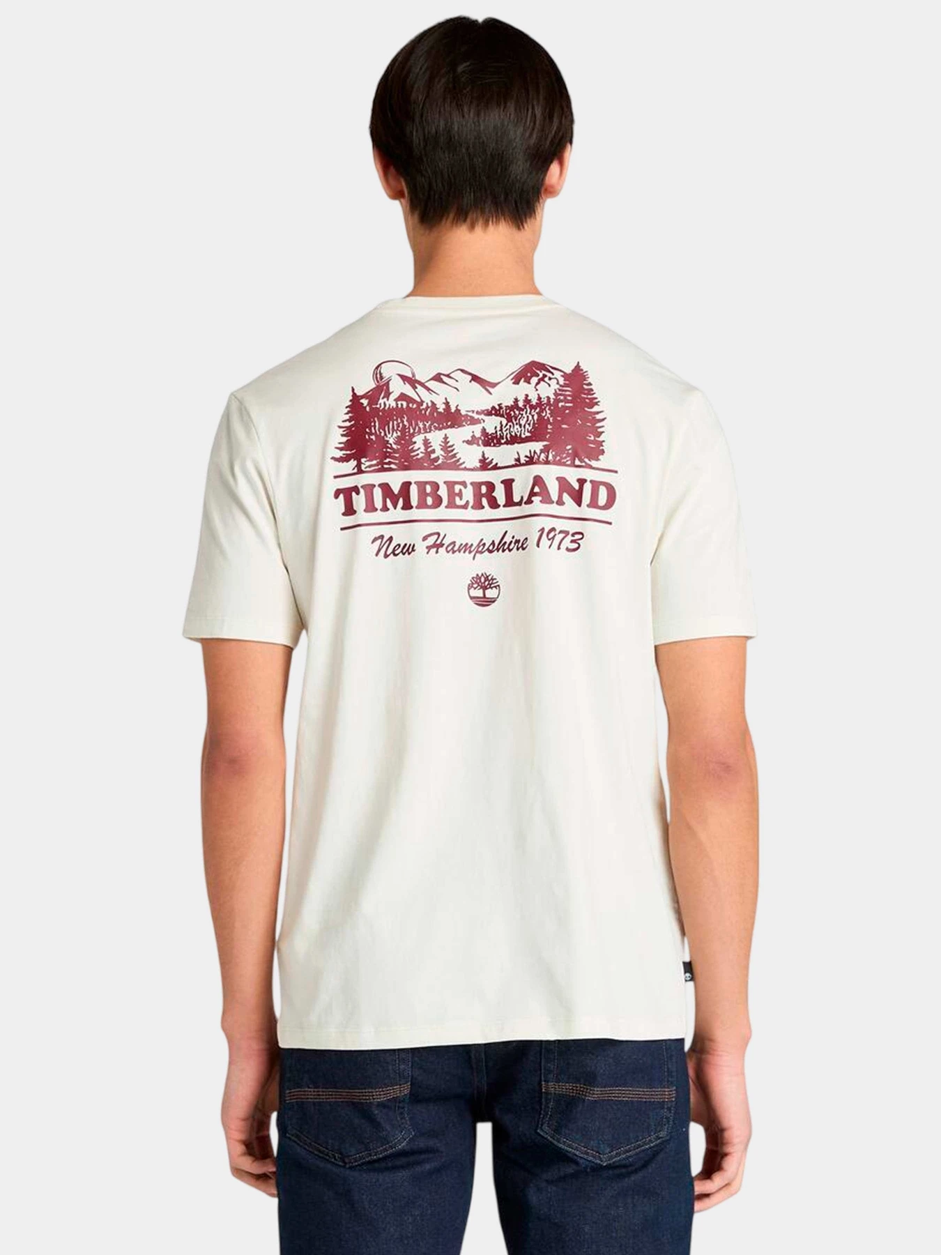 Футболки и поло Timberland модель TB0A444BCM9 Футболки и поло Timberland модель TB0A444BCM9 Фото