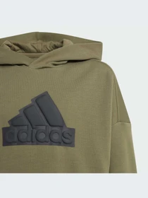 Худи и свитшоты Adidas Icons модель IM0076-KZ Фото
