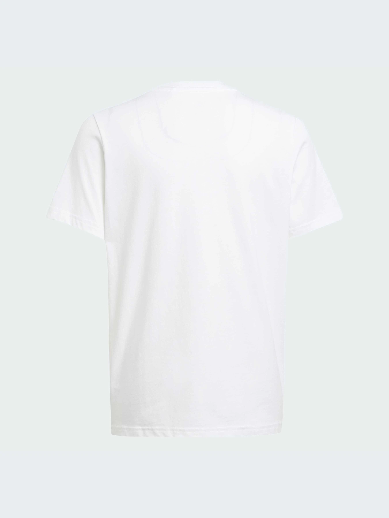 Футболки и поло Adidas Graphics модель IY5453-KZ Футболки и поло Adidas Graphics модель IY5453-KZ Фото
