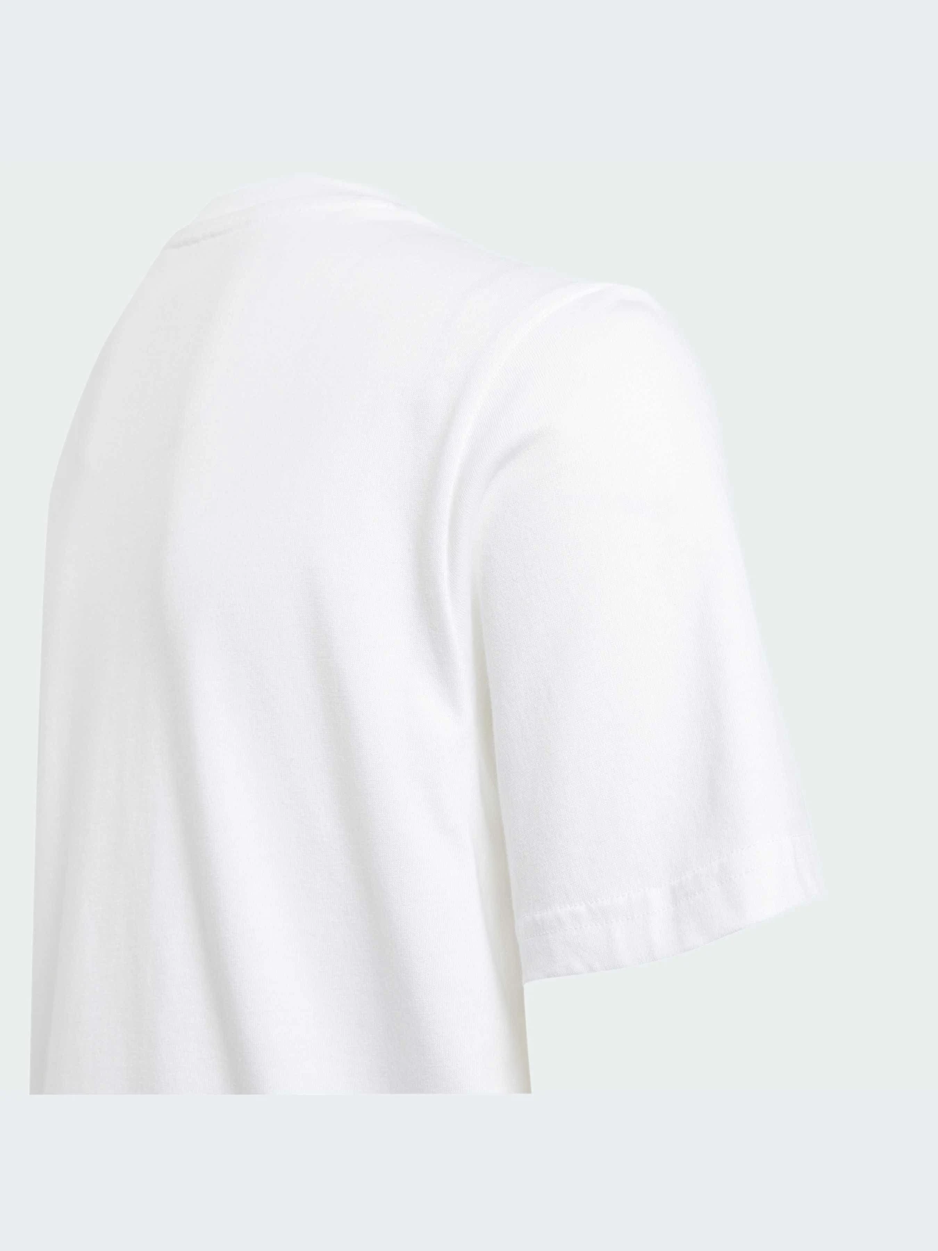 Футболки и поло Adidas Graphics модель IY5453-KZ Футболки и поло Adidas Graphics модель IY5453-KZ Фото