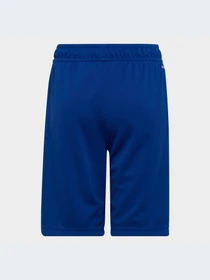 Шорты Adidas модель HE9334-KZ Фото