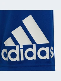 Шорты Adidas модель HE9334-KZ Фото