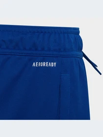 Шорты Adidas модель HE9334-KZ Фото