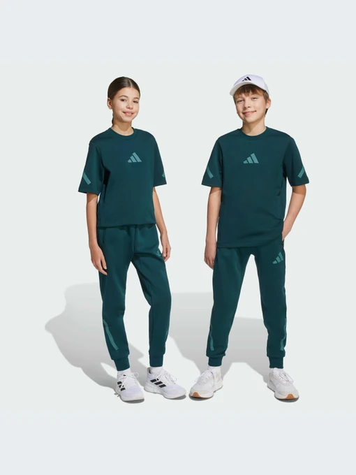 Брюки Adidas ZNE модель JW2430-KZ Фото