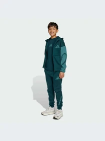 Брюки Adidas ZNE модель JW2430-KZ Фото