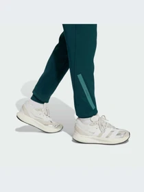 Брюки Adidas ZNE модель JW2430-KZ Фото