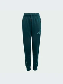 Брюки Adidas ZNE модель JW2430-KZ Фото