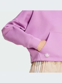 Худи и свитшоты Adidas Adicolor модель IW5614-KZ Фото