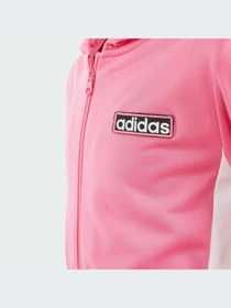 Худи и свитшоты Adidas Adicolor модель IN2115-KZ Фото