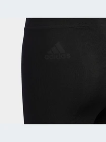Брюки Adidas модель HZ7089-KZ Фото