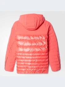 Куртки и дубленки Adidas модель B10781-KZ Фото