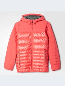 Куртки и дубленки Adidas модель B10781-KZ Фото