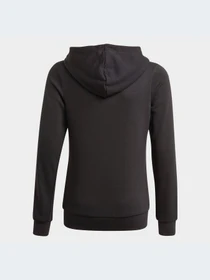 Худи и свитшоты Adidas модель GN4050-KZ Фото