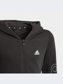 Худи и свитшоты Adidas модель GN4050-KZ Фото