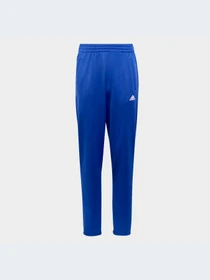 Брюки Adidas модель ID0000-KZ Фото