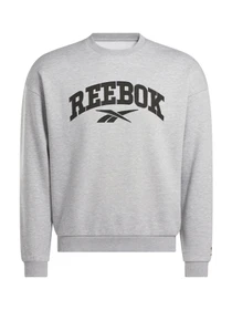 Худи и свитшоты Reebok модель 102247870 Фото