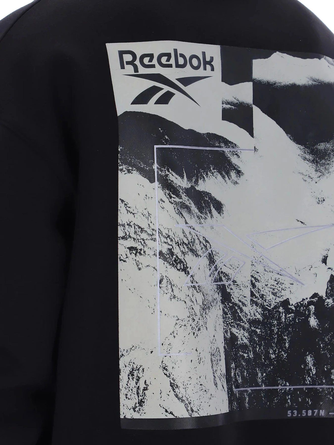 Худи и свитшоты Reebok модель 102247931 Фото
