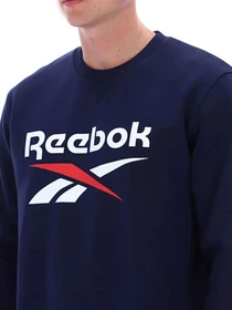 Худи и свитшоты Reebok модель 102248094 Фото