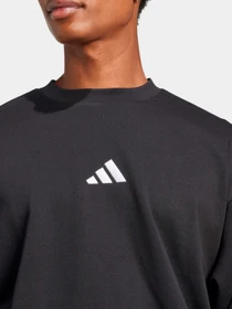 Худи и свитшоты Adidas модель JE3794 Фото