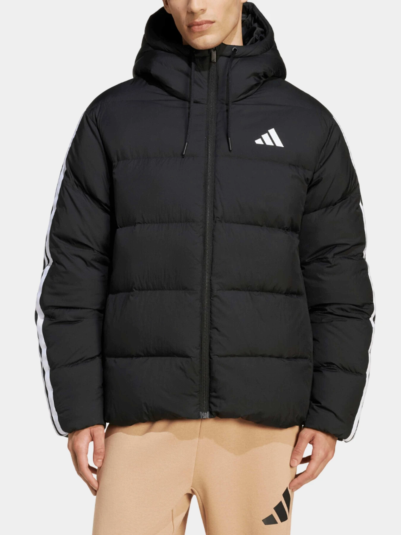 Куртки и дубленки Adidas модель JM4165 Куртки и дубленки Adidas модель JM4165 Фото