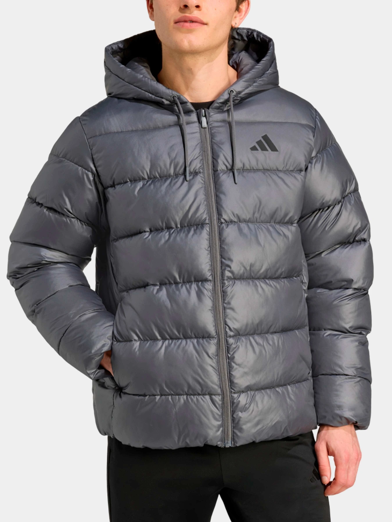 Куртки и дубленки Adidas модель JM8399 Куртки и дубленки Adidas модель JM8399 Фото