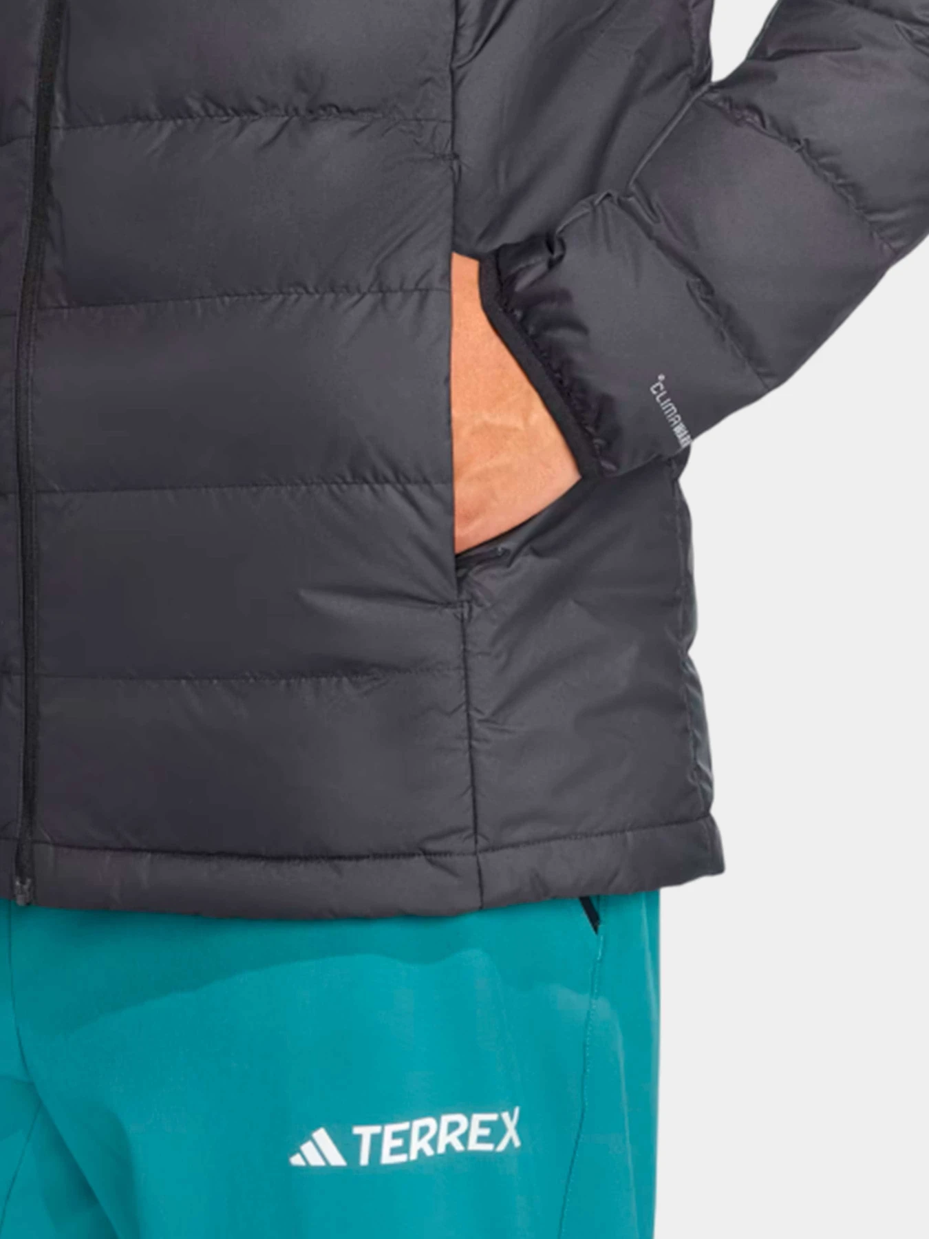 Куртки и дубленки Adidas модель JZ9966 Куртки и дубленки Adidas модель JZ9966 Фото