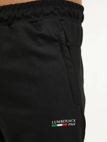 Брюки Lumberjack модель 101175622 Фото