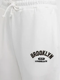 Брюки Lumberjack модель 101452543 Фото