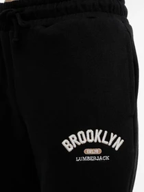 Брюки Lumberjack модель 101452544 Фото