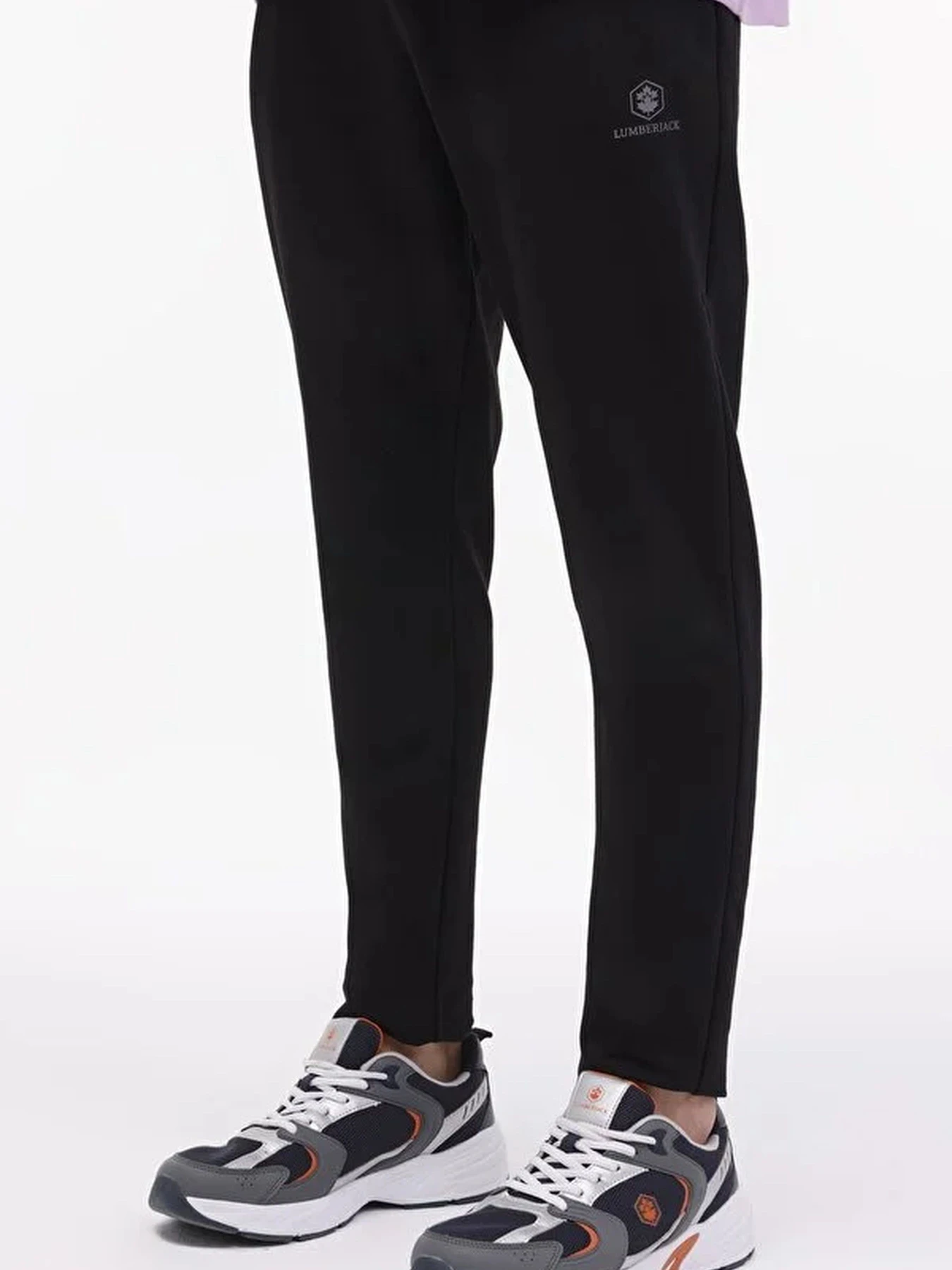 Брюки Lumberjack модель 101701076 Брюки Lumberjack модель 101701076 Фото