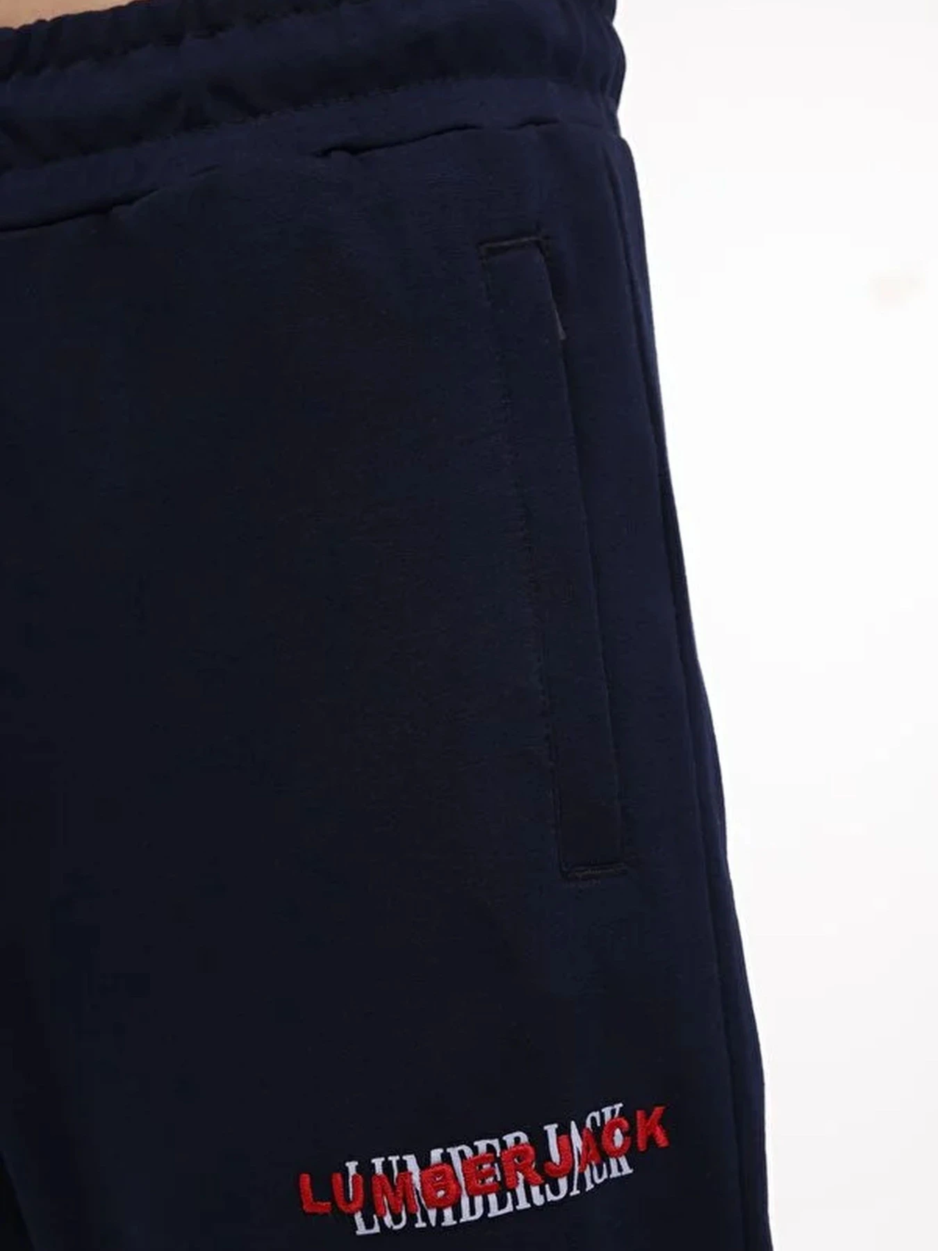 Брюки Lumberjack модель 101701085 Брюки Lumberjack модель 101701085 Фото