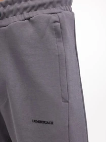 Брюки Lumberjack модель 101701113 Фото