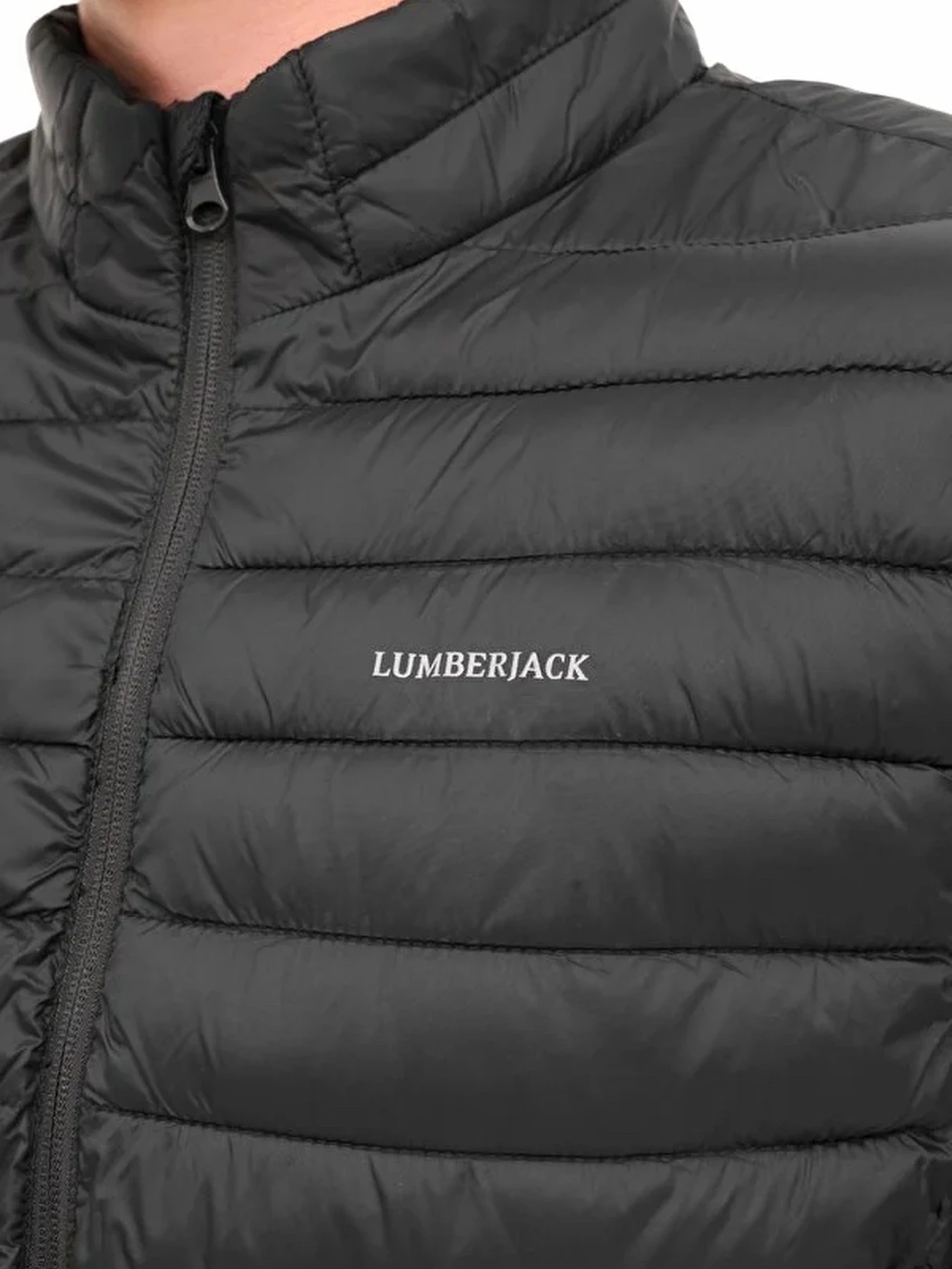 Худи и свитшоты Lumberjack модель 102025656 Худи и свитшоты Lumberjack модель 102025656 Фото