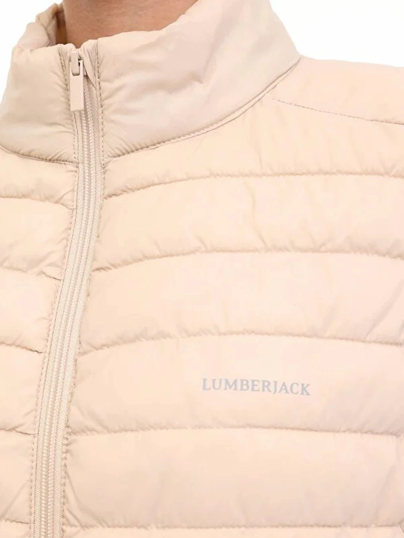 Худи и свитшоты Lumberjack модель 102026665 Худи и свитшоты Lumberjack модель 102026665 Фото