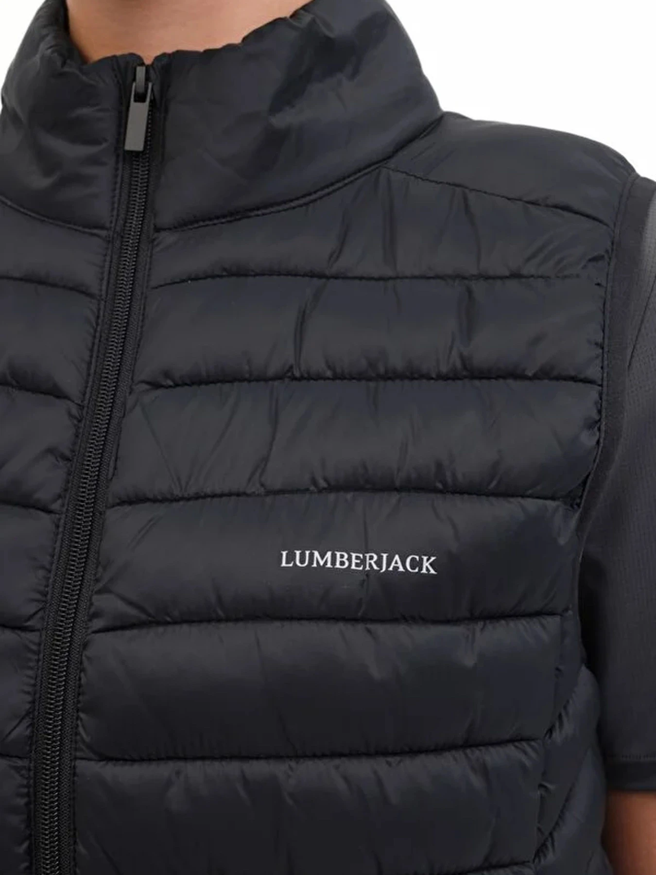 Худи и свитшоты Lumberjack модель 102026666 Худи и свитшоты Lumberjack модель 102026666 Фото