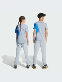 Брюки Adidas модель JX6310-KZ Фото