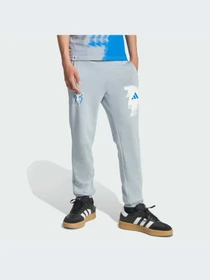 Брюки Adidas модель JX6310-KZ Фото