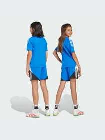 Шорты Adidas модель JX6309-KZ Фото