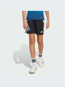 Шорты Adidas модель JX6309-KZ Фото