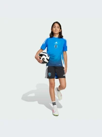 Шорты Adidas модель JX6309-KZ Фото