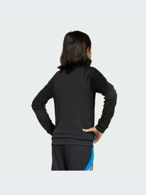 Худи и свитшоты Adidas модель JX3943-KZ Фото